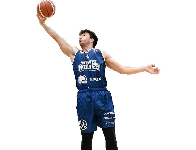 RADICS Gerzson